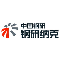 钢研纳克检测技术股份有限公司 Logo